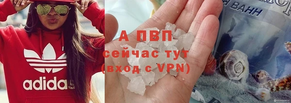 сатива Михайлов