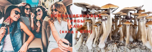 трава Белая Калитва