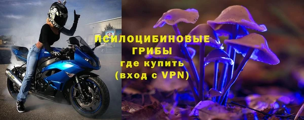 альфа пвп Надым
