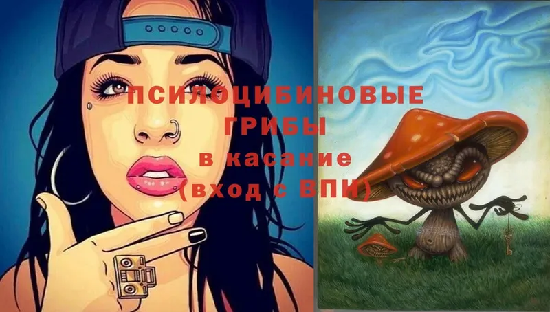 Псилоцибиновые грибы Magic Shrooms  Сергач 