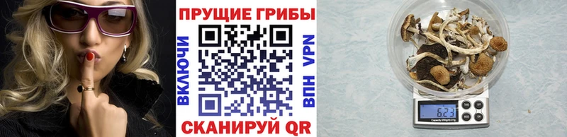 Псилоцибиновые грибы мицелий  Сергач 